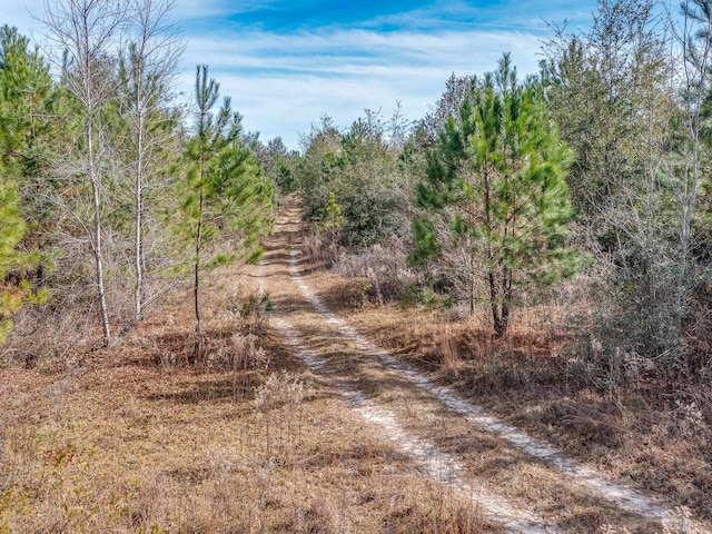 xxx Roland Harvey, Crawfordville FL, 32327 land for sale