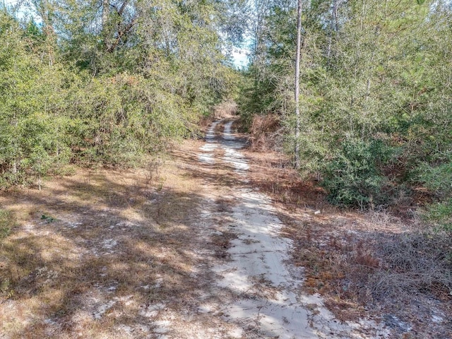 Listing photo 2 for xxx Roland Harvey, Crawfordville FL 32327