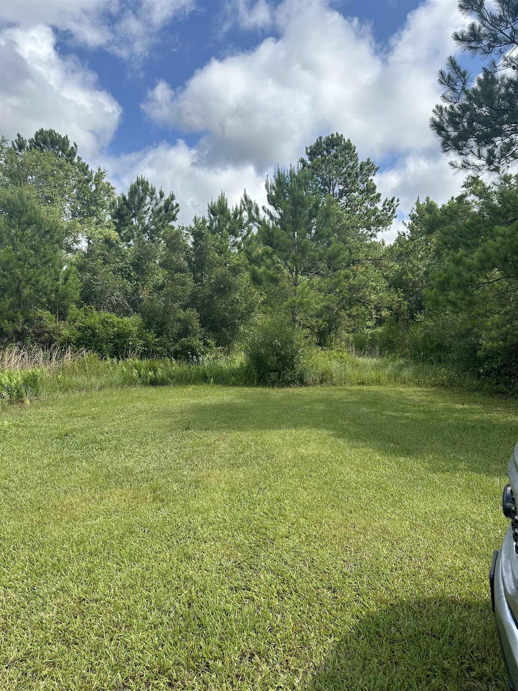 000 Kinsey Rd, Monticello, FL 32344 - photo 3