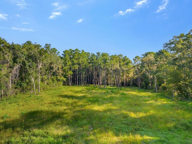 0 Bannerman Rd, Tallahassee FL, 32312 land for sale