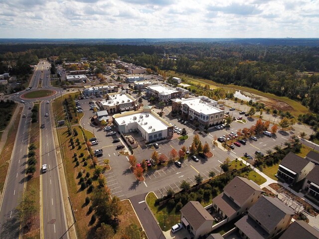 3235 Magazine Cir, Tallahassee, FL 32312 - drone / aerial view of a forest