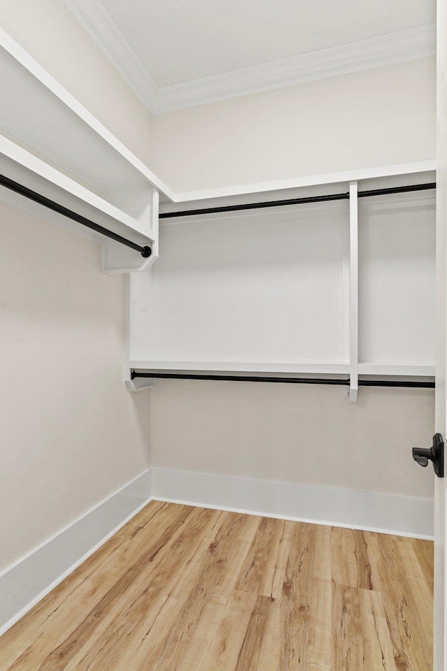 3235 Magazine Cir, Tallahassee, FL 32312 - walk in closet featuring wood finished floors