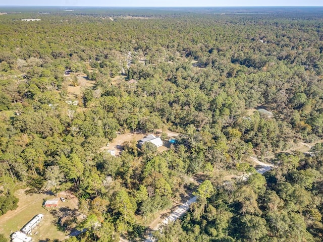 199 Basswood Dr, Crawfordville, FL 32327 - photo 39