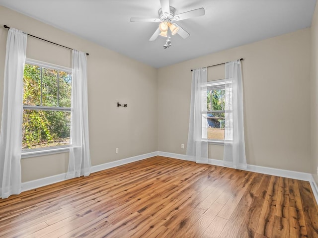199 Basswood Dr, Crawfordville, FL 32327 - photo 31