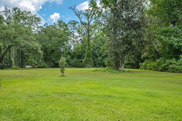25 Terrace Ln, Crawfordville, FL 32327 - photo 37