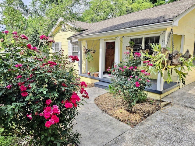 1111 Carraway St, Tallahassee, FL 32308 - photo 2