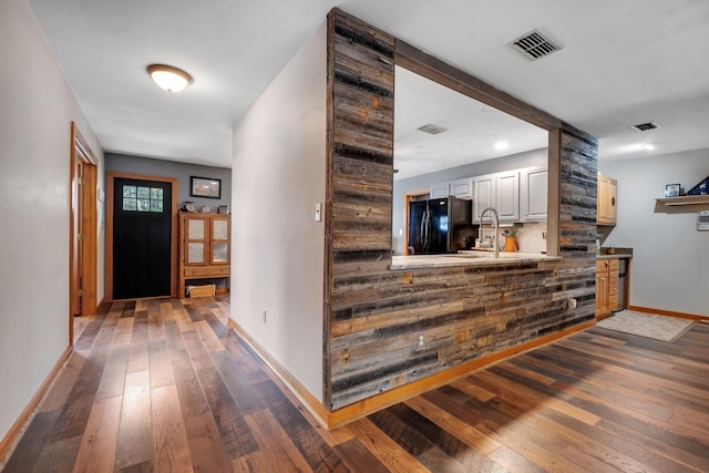 foyer entrance featuring dark hardwood / wood-style floors and sink