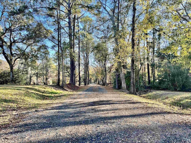 view of road