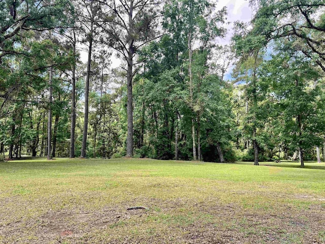 376 Tecumseh Rd, Monticello, FL 32344 - view of yard