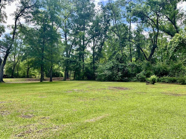 376 Tecumseh Rd, Monticello, FL 32344 - view of yard