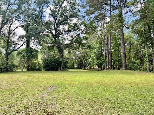 376 Tecumseh Rd, Monticello, FL 32344 - view of yard