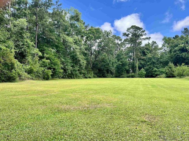 376 Tecumseh Rd, Monticello, FL 32344 - view of yard