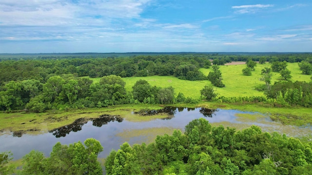 Bassett Dairy Rd, Monticello FL, 32344 land for sale