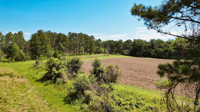 Listing photo 3 for Bassett Dairy Rd, Monticello FL 32344