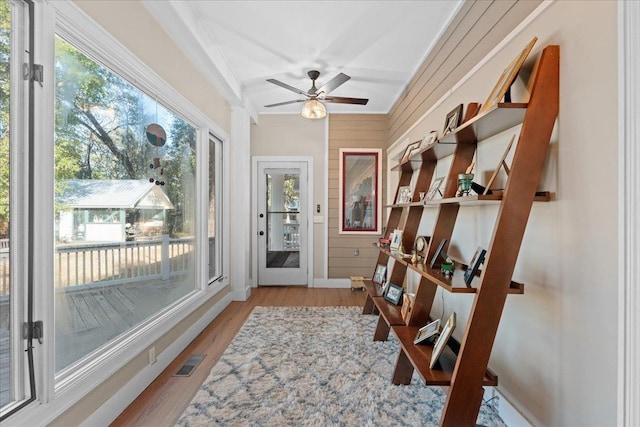 interior space with ceiling fan and plenty of natural light