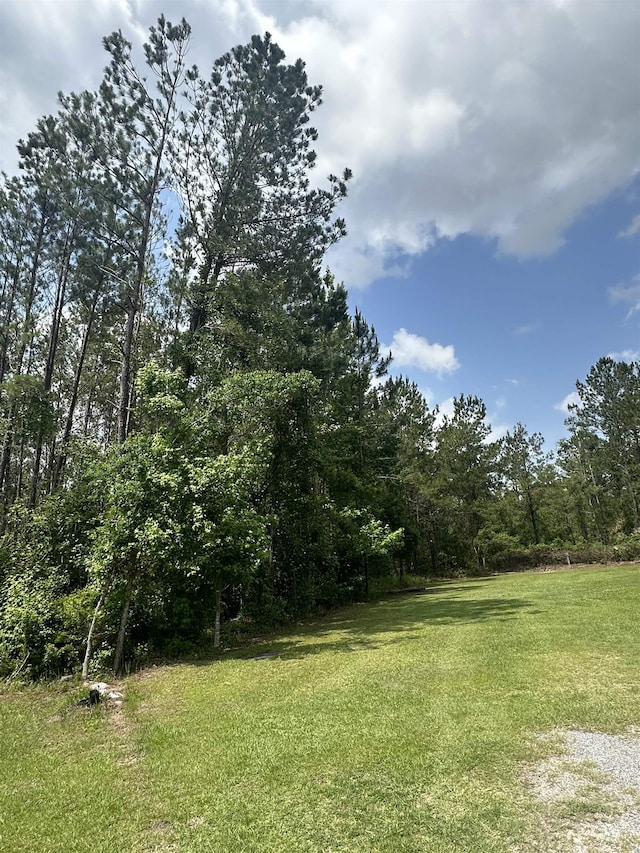 TBD NW US Highway 129, Jasper, FL 32052