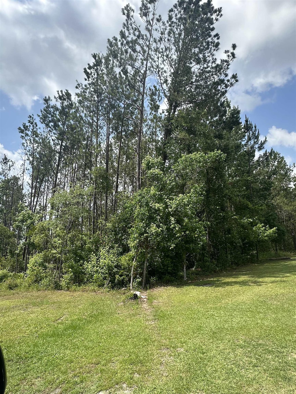 TBD NW US Highway 129, Jasper, FL 32052