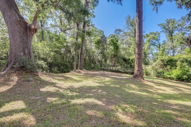 3000 S Adams St Unit 113, Tallahassee, FL 32301 - photo 45