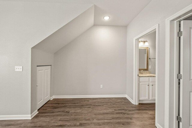 additional living space featuring lofted ceiling, sink, and dark hardwood / wood-style floors