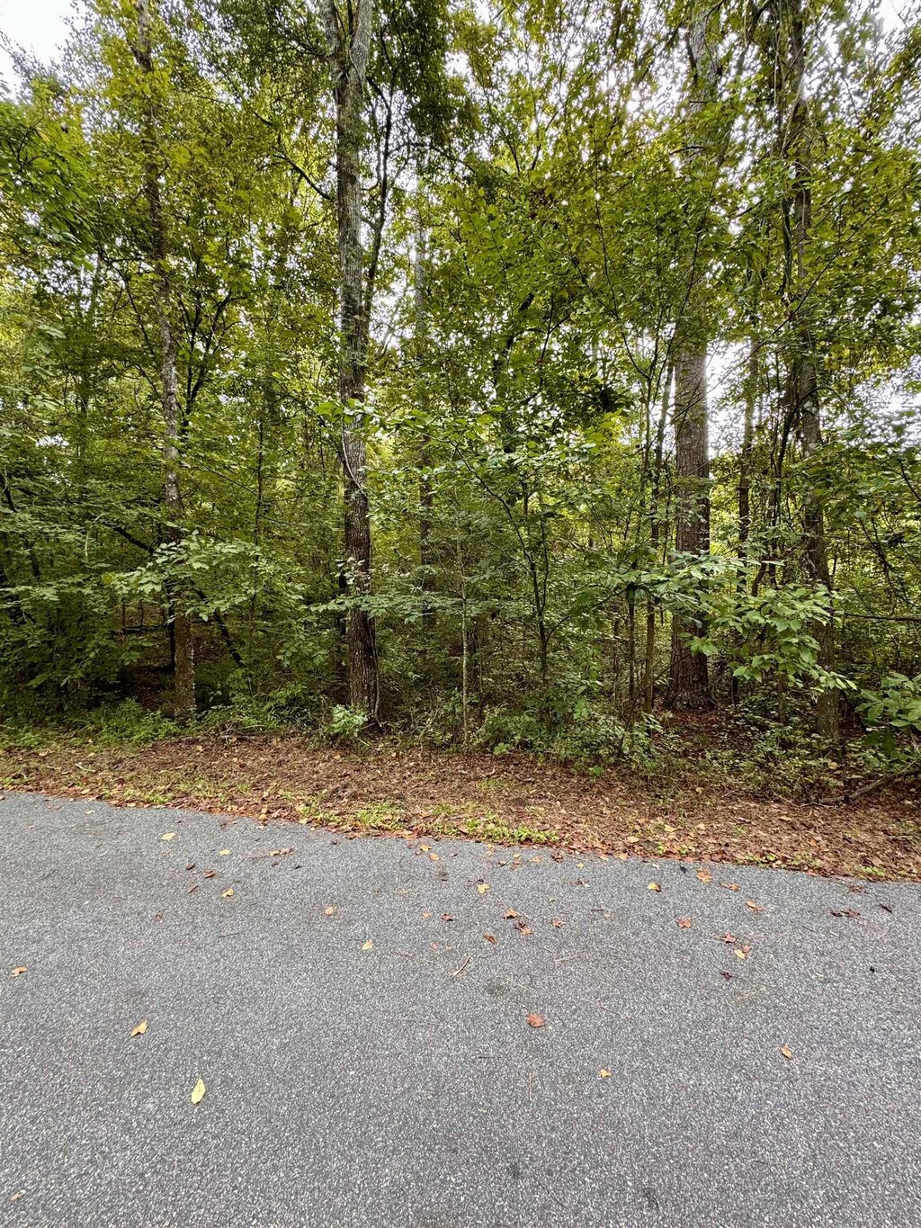 Buckhorn Rd, Tallahassee, FL 32312 - photo 2
