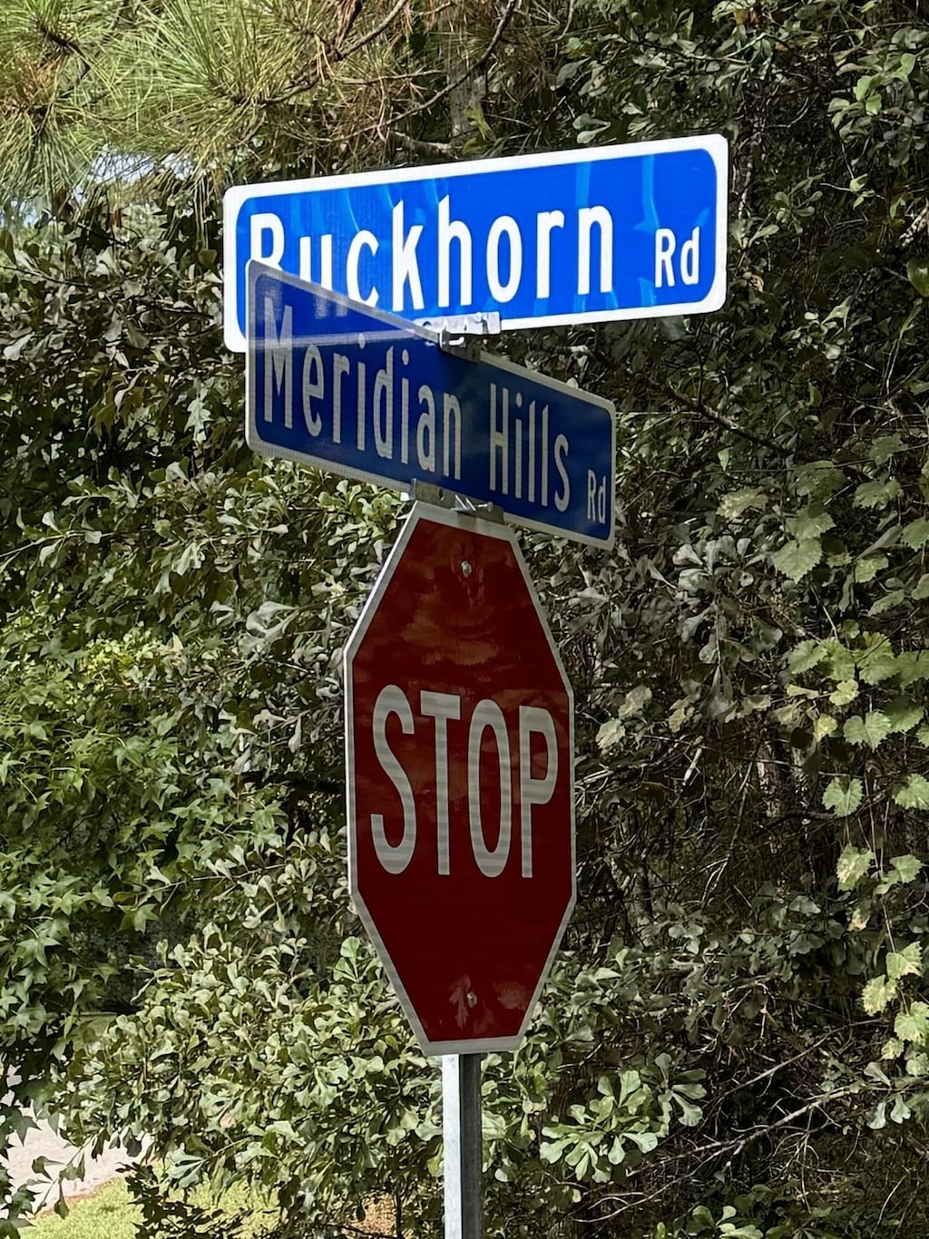 Buckhorn Rd, Tallahassee, FL 32312 - photo 1