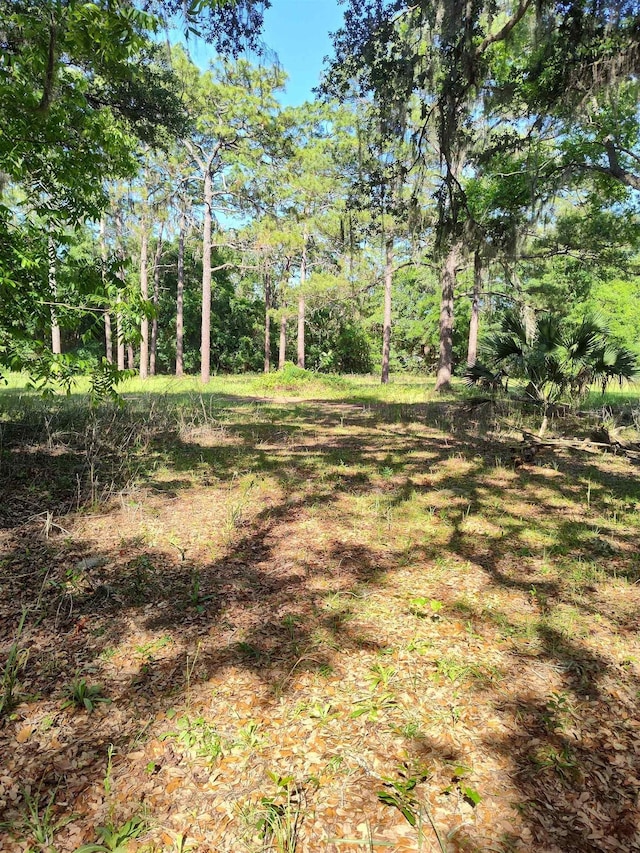 1618 Golf Course Rd, Perry, FL 32347 - view of yard