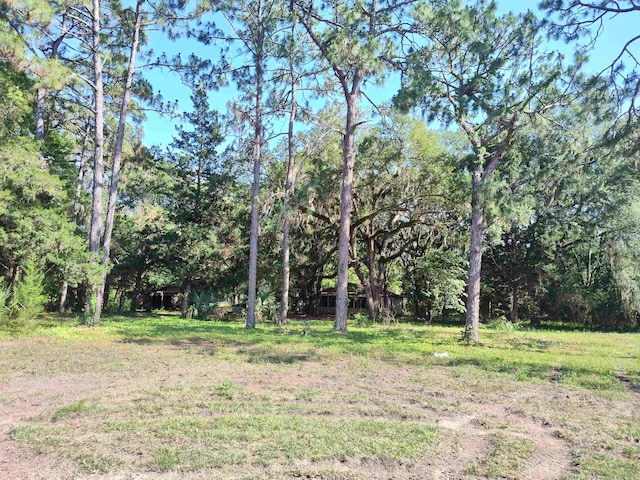 1618 Golf Course Rd, Perry, FL 32347 - view of green lawn