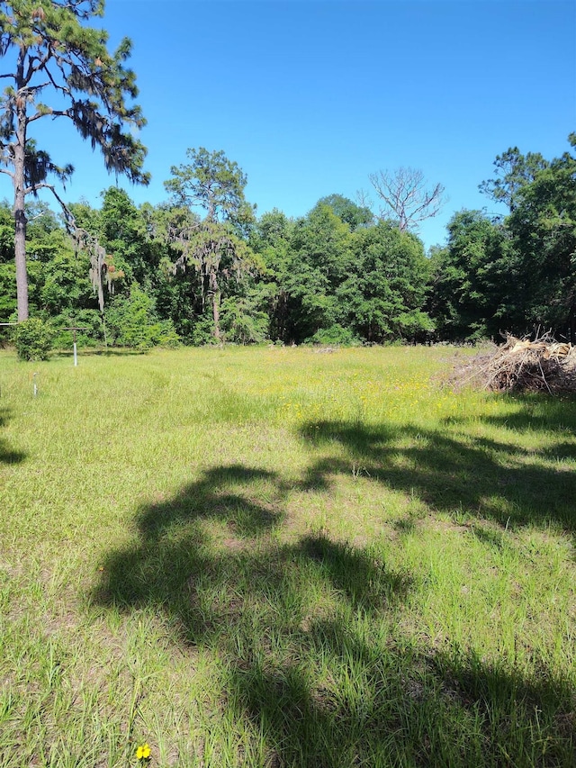 1618 Golf Course Rd, Perry, FL 32347 - view of yard