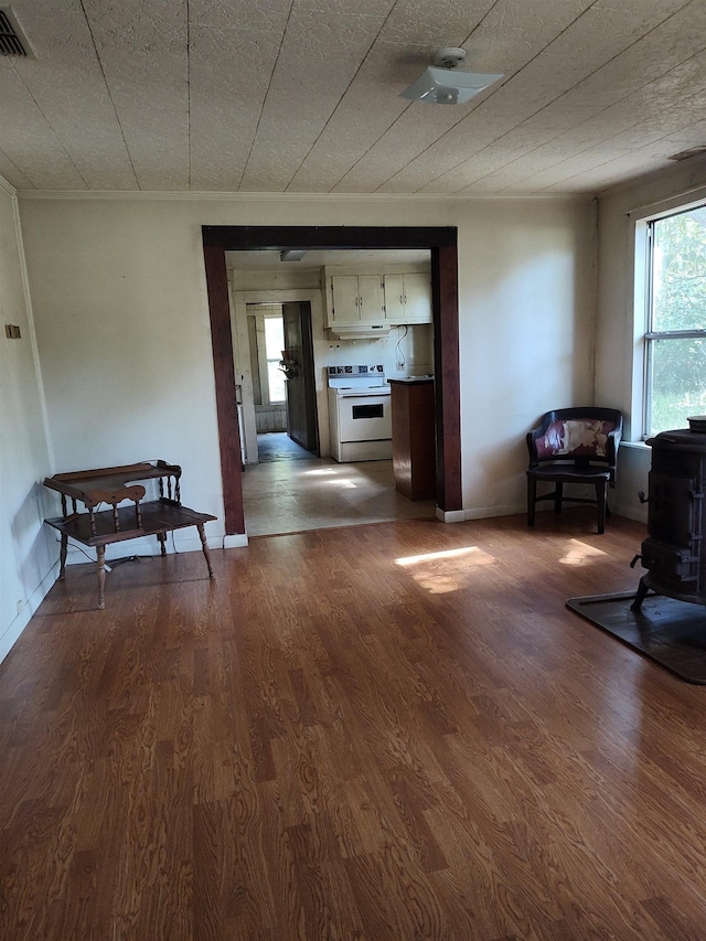 1618 Golf Course Rd, Perry, FL 32347 - living room featuring dark wood finished floors and a wood stove