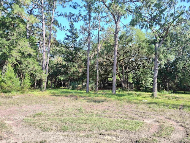 1618 Golf Course Rd, Perry, FL 32347 - view of local wilderness