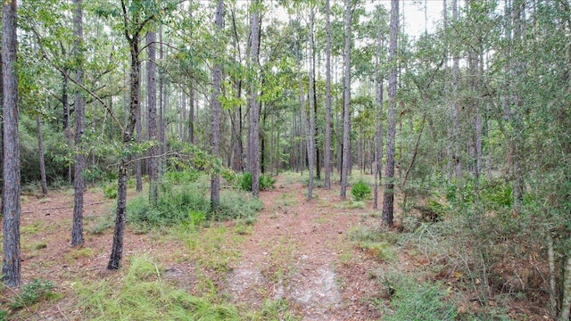 0 Saddle Rope Trl, Tallahassee, FL 32305 - photo 16