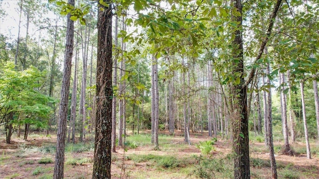 0 Saddle Rope Trl, Tallahassee, FL 32305 - photo 18