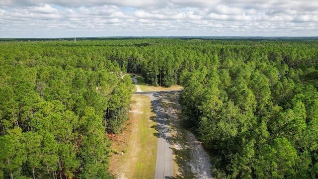 0 Saddle Rope Trl, Tallahassee, FL 32305 - photo 7