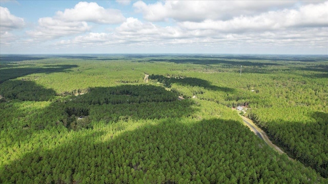0 Saddle Rope Trl, Tallahassee, FL 32305 - photo 11