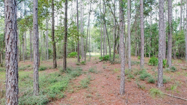 0 Saddle Rope Trl, Tallahassee, FL 32305 - photo 15