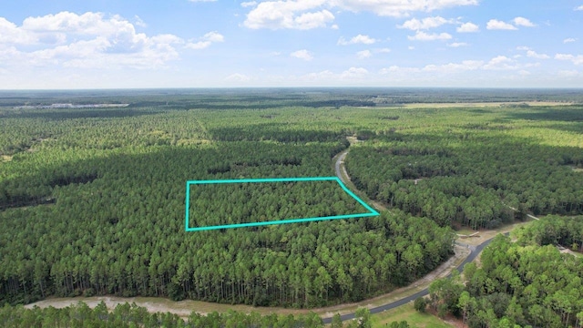 0 Saddle Rope Trl, Tallahassee, FL 32305 - photo 10