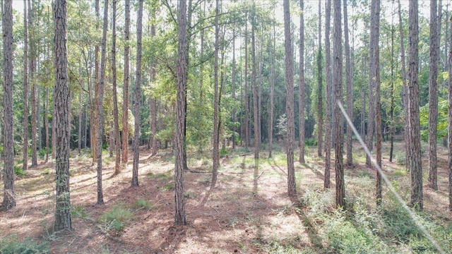 0 Saddle Rope Trl, Tallahassee, FL 32305 - photo 17