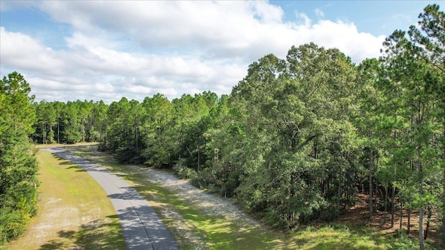 0 Saddle Rope Trl, Tallahassee, FL 32305 - photo 8