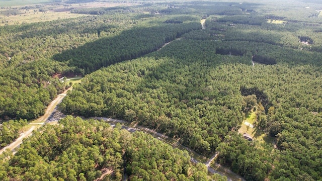 0 Saddle Rope Trl, Tallahassee, FL 32305 - photo 14