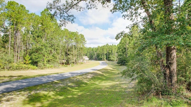 0 Saddle Rope Trl, Tallahassee, FL 32305 - photo 6