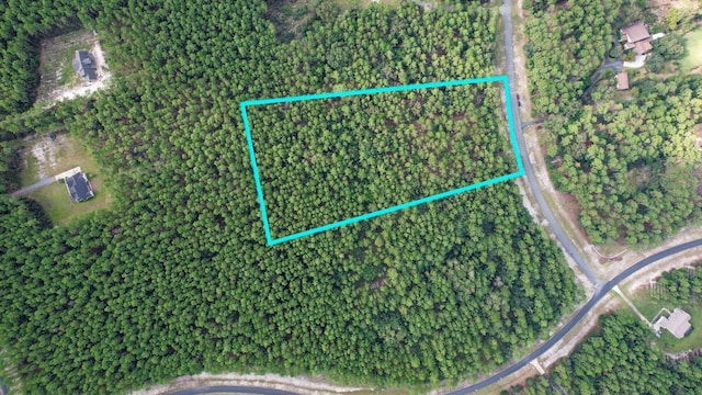 0 Saddle Rope Trl, Tallahassee, FL 32305 - photo 12