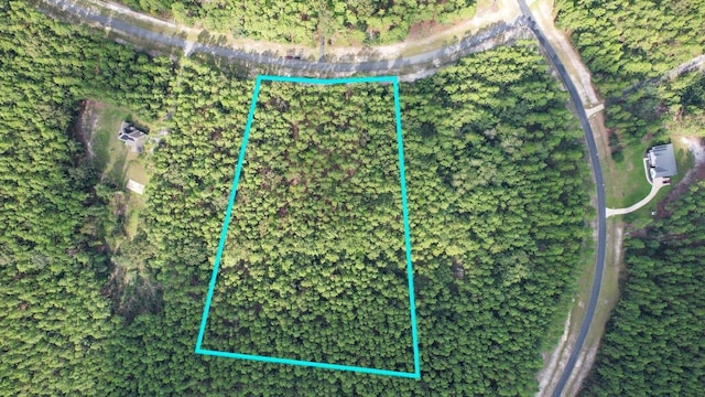 0 Saddle Rope Trl, Tallahassee, FL 32305 - photo 13