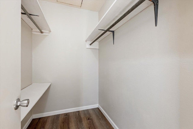 spacious closet with dark hardwood / wood-style floors