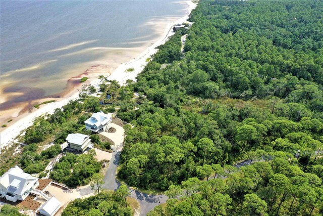 136 Marshmallow Lane Lot 483 - E, Saint Teresa, FL 32358 - photo 6