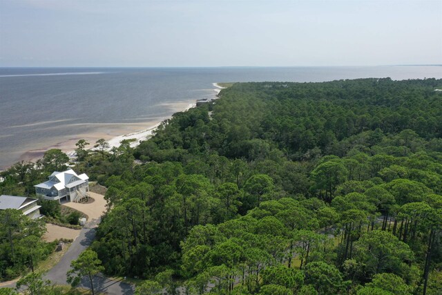 136 Marshmallow Lane Lot 483 - E, Saint Teresa, FL 32358 - photo 5