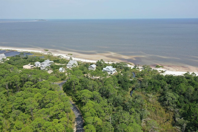136 Marshmallow Lane Lot 483 - E, Saint Teresa, FL 32358 - photo 10