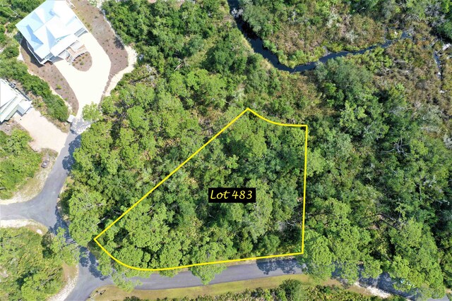 136 Marshmallow Lane Lot 483 - E, Saint Teresa, FL 32358 - photo 4