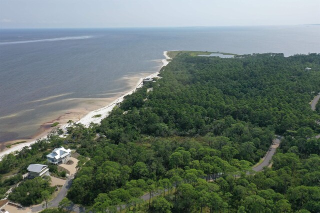 136 Marshmallow Lane Lot 483 - E, Saint Teresa, FL 32358 - photo 8
