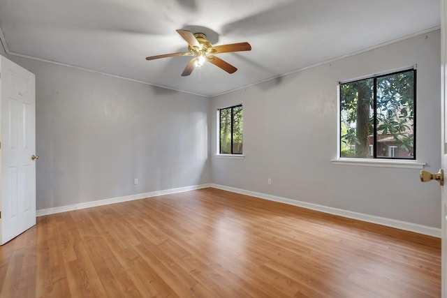 3508 Willow Springs Ln, Tallahassee, FL 32312 - unfurnished room featuring a ceiling fan, light wood finished floors, and crown molding