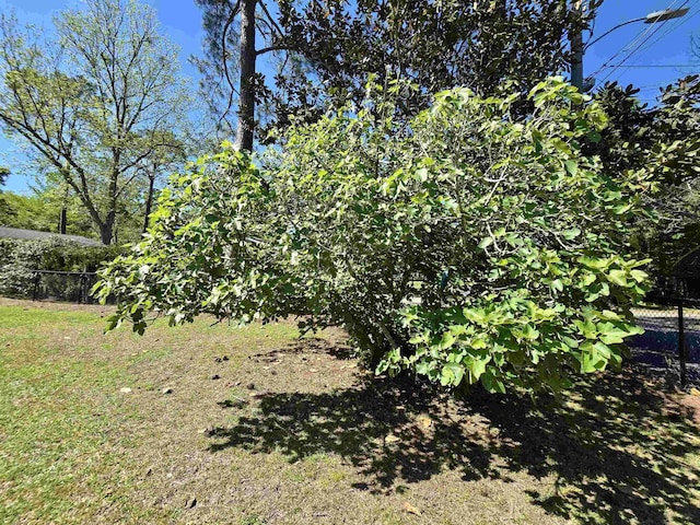 2612 W Tharpe St, Tallahassee, FL 32303 - view of yard